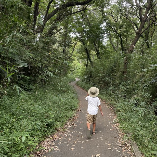【横浜】ホタルの住む陣ヶ下渓谷公園