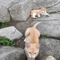 강화도 마니산