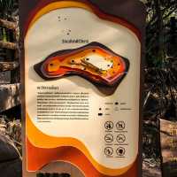 วัดภูทอก ชมวิว360 องศา บนยอดเขา จ.บึงกาฬ