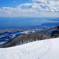 【滋賀】滋賀で必ず訪れたい絶景。メタセコイア並木
