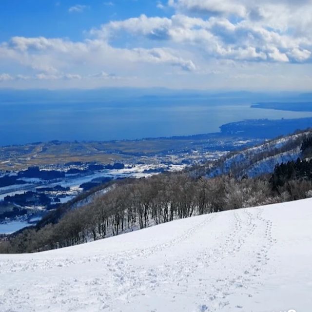 【滋賀】滋賀で必ず訪れたい絶景。メタセコイア並木