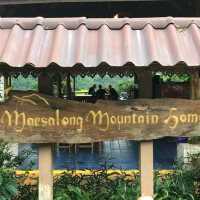 maesalong mountain home