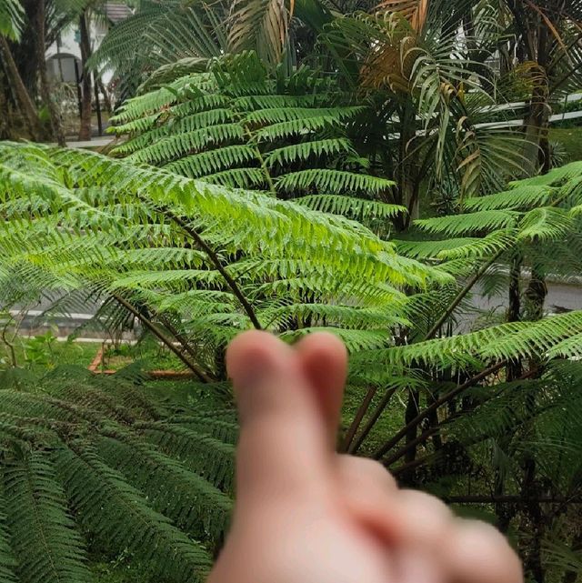 Tenang,  Damai,  Sejuk