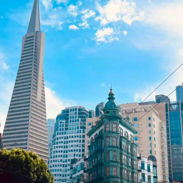 Californication:  San Francisco Streetscape