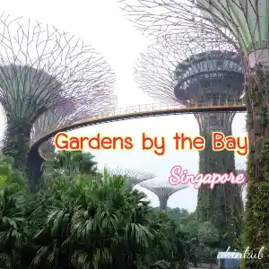 ชมสวน Gardens by the Bay