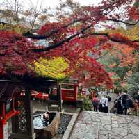 【京都】京都の最強パワースポットで紅葉