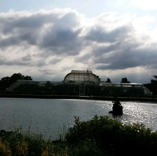 邱園（Kew Gardens）#邱園 #Kewgardens