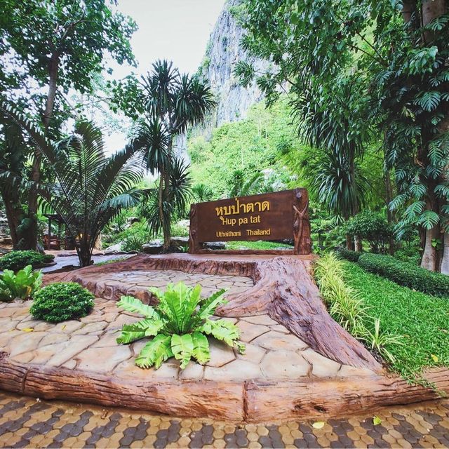 Unseen ❗️หุบป่าตาด ป่าดึกดำบรรพ์ 🦕เมืองอุทัย 🦇