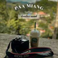 ป่าเหมี้ยง 🍃 คอฟฟี่ คาเฟ่เล็กๆ ในป่าใหญ่ 🌲🌲