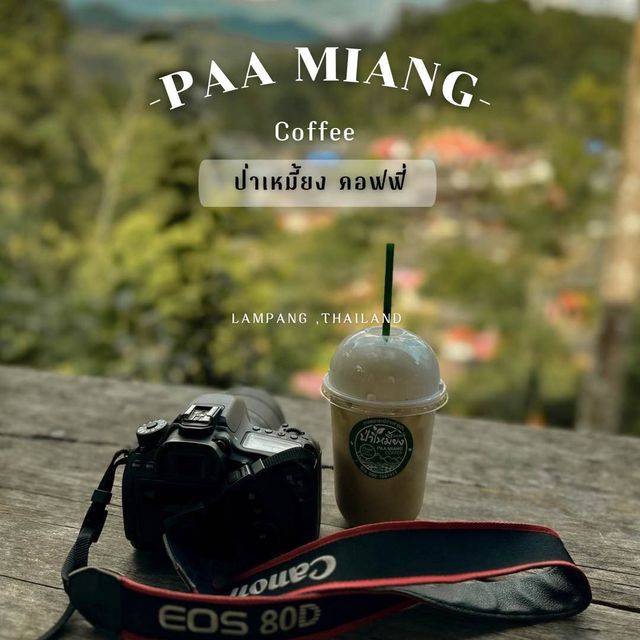 ป่าเหมี้ยง 🍃 คอฟฟี่ คาเฟ่เล็กๆ ในป่าใหญ่ 🌲🌲