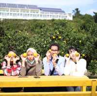 Jeju island 