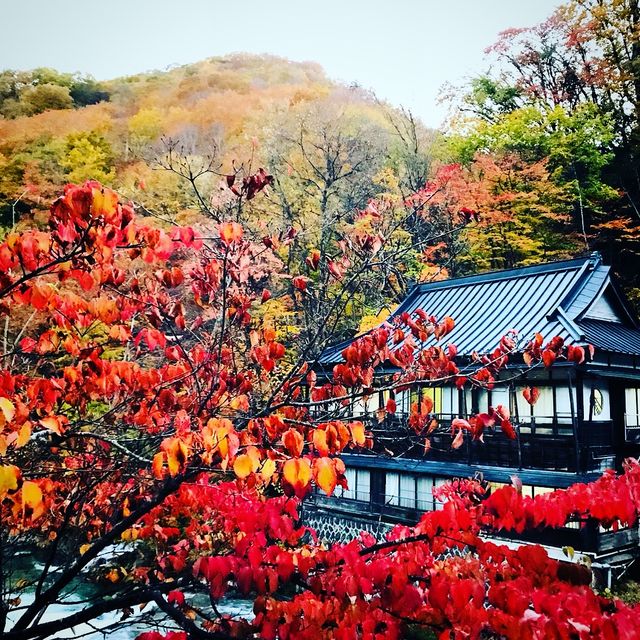 Autumm สวยงามราวภาพวาดสีน้ำมัน