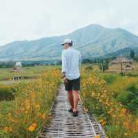 T o o b N a Homestay @ NAN