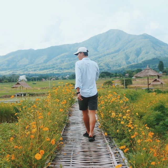 T o o b N a Homestay @ NAN