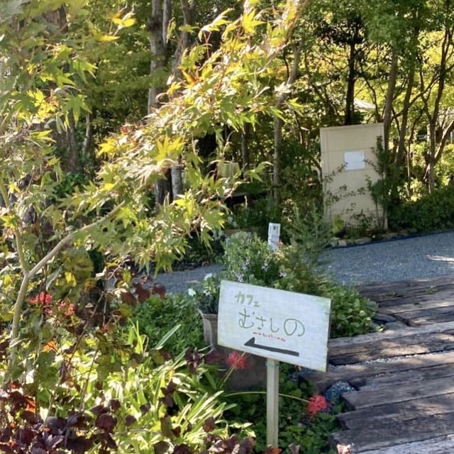 【福岡】古民家カフェ むさしの