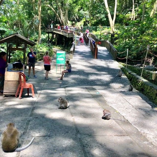 聖猴森林公園