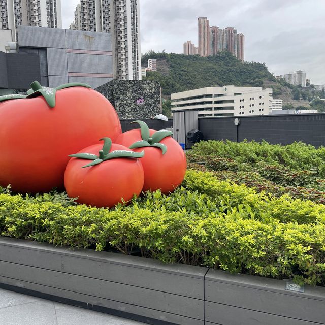 葵芳新都會廣場