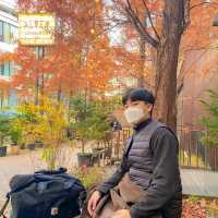 강남 숲세권 카페 알베르