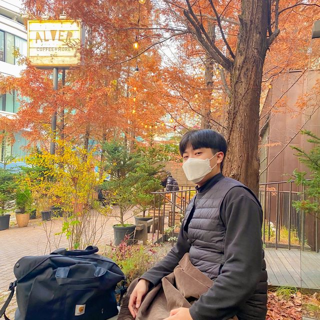 강남 숲세권 카페 알베르