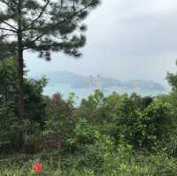 近距離欣賞青馬大橋—青衣自然徑