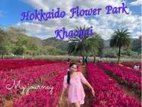 ชมสวนดอกไม้ที่ Hokkaido Flower Park  Khaoyai 