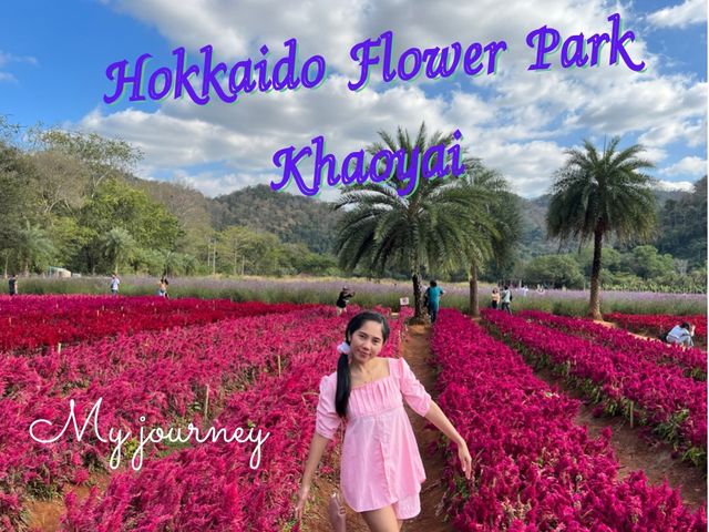 ชมสวนดอกไม้ที่ Hokkaido Flower Park  Khaoyai 