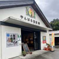 【沖縄･本島】沖縄最北の泡盛酒造