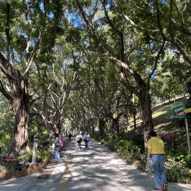 超靚秘密賞櫻花園