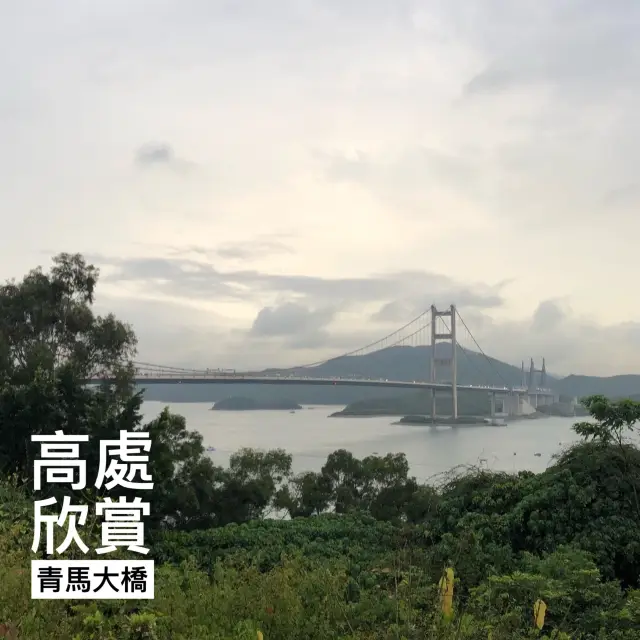 高處欣賞青馬大橋