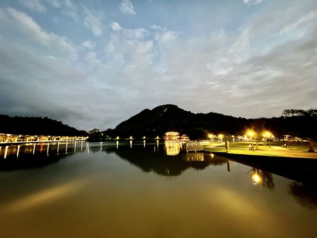大湖公園散步去｜還可以看到好多的鳥、鵝、鴨😄