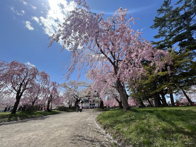 【青森】弘前城近くのアップルパイ屋さん