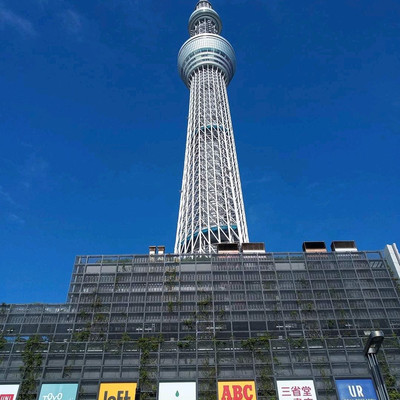 216 1/1000 TOKYO SKYTREE