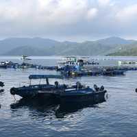 Grass Island (Tap Mun) - Camping Site to Hong Kong Getaway