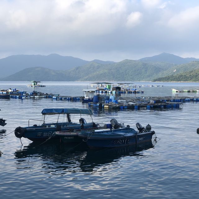 Grass Island (Tap Mun) - Camping Site to Hong Kong Getaway
