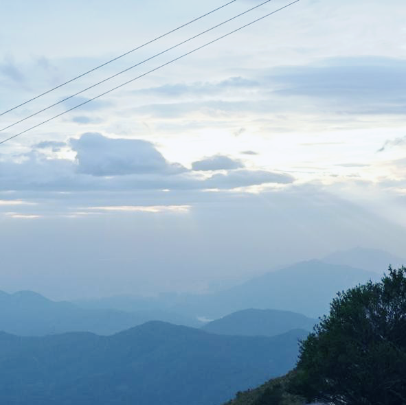 挑戰「針、草、帽」行山路線！