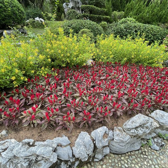 賞花好地方-屯門公園