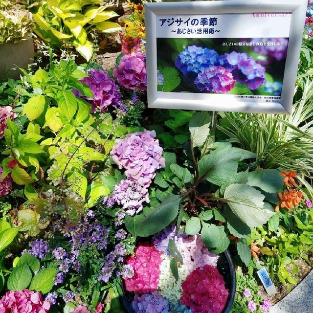 神戸は街角も素敵　スポンサー花壇