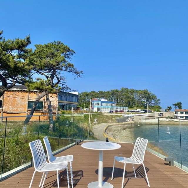 바다 뷰 대형카페 코랄라니🌊🏖