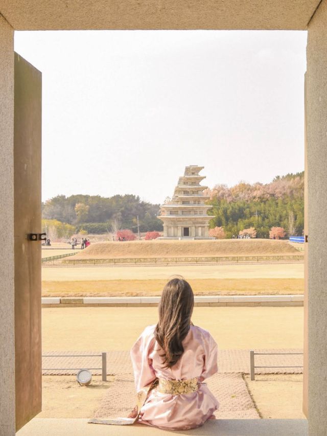 백제 문화의 중심지 익산으로🫢