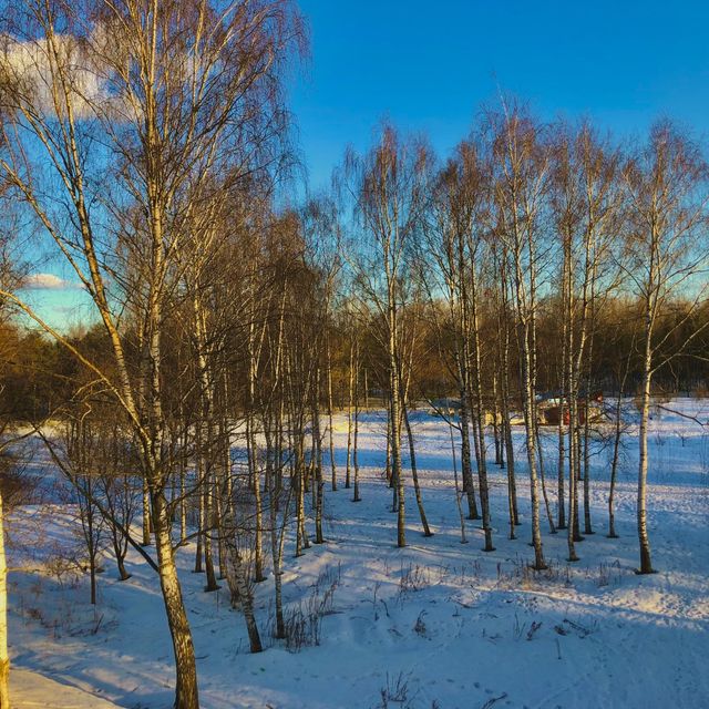 Enjoying the Magical Snowy Winter