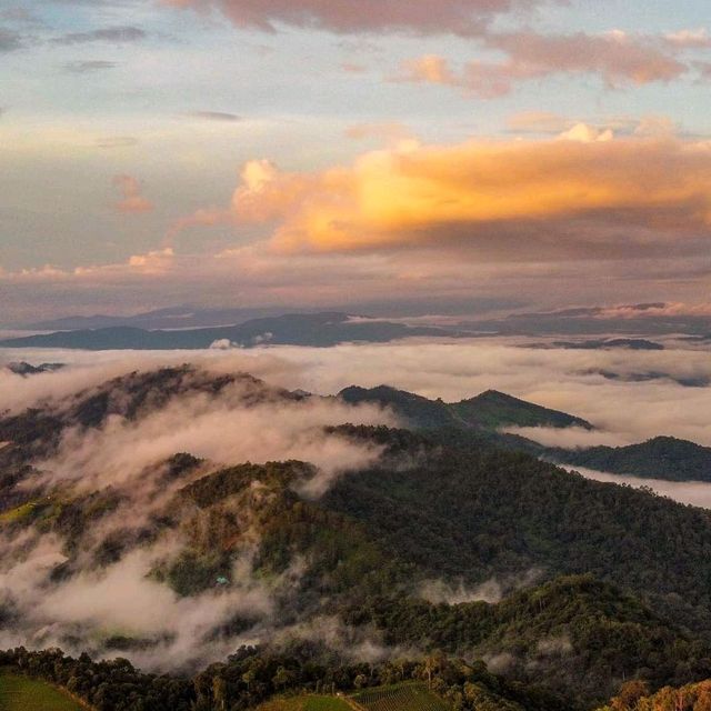 ภูดอย