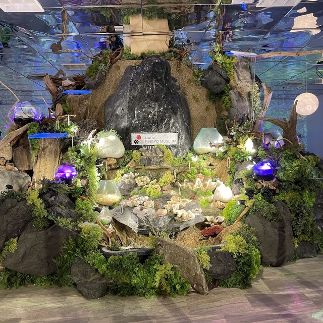 【奈良県】日本最大級の金魚ミュージアムを堪能！