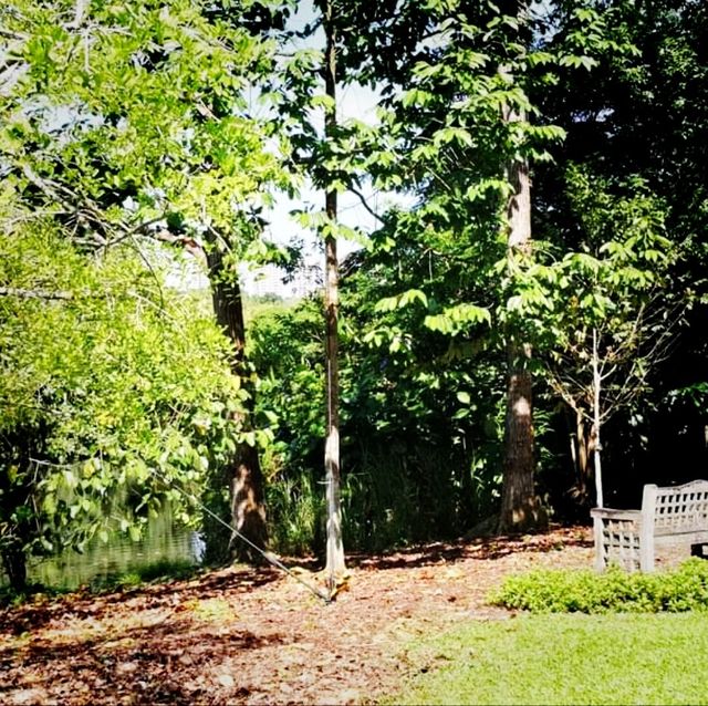 The Singapore Botanic Gardens