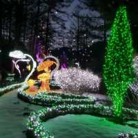 Illumination at Garden of Morning calm