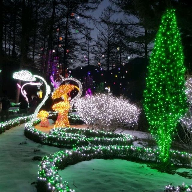 Illumination at Garden of Morning calm