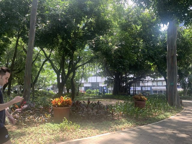 Nature Park in the Center of Makati