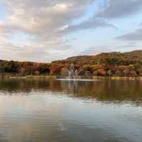 Superb fall park with magnificent road