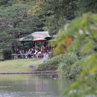 【六義園】秋・都心の自然でリフレッシュ