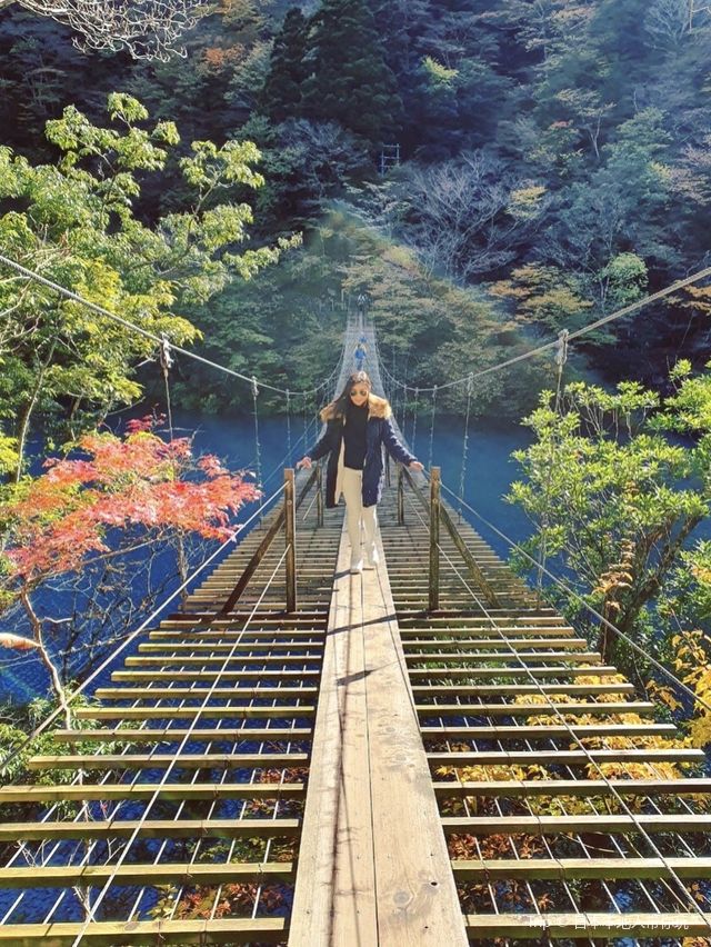 夢の吊橋 Yume no Tsuribashi ⛩🌁