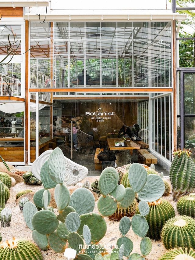 🌵Botanist Activity Space & Cafe